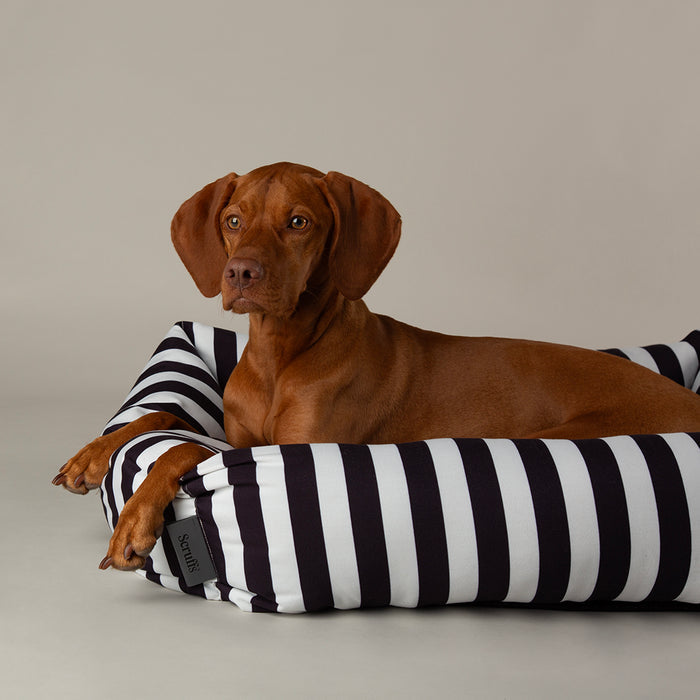 Fifth view of the Scruffs Amalfi hand-painted black stripe box bed in extra large