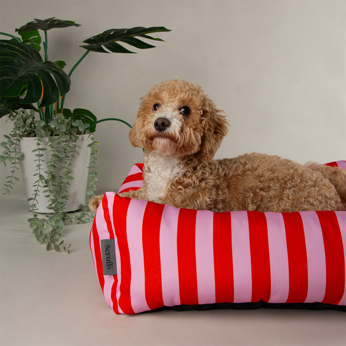 Fourth view of the Scruffs Amalfi pink stripe box bed with its raised bolster sides