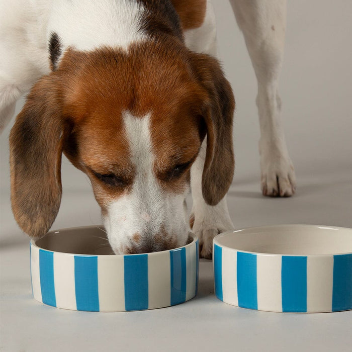 Scruffs Amalfi blue stripe bowl at 19cm, the largest in the Amalfi range