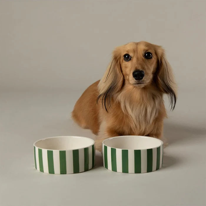 Fourth view of the Scruffs Amalfi green stripe stoneware pet bowl, 19cm size