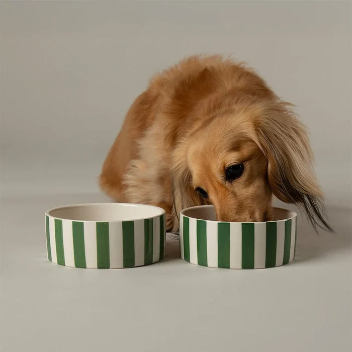 Fifth view of the Scruffs Amalfi hand-painted green stripe stoneware bowl at 19cm