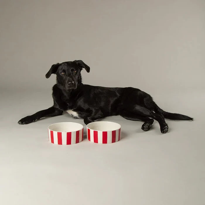 Fourth view of the Scruffs Amalfi red stripe stoneware pet bowl, 15cm size