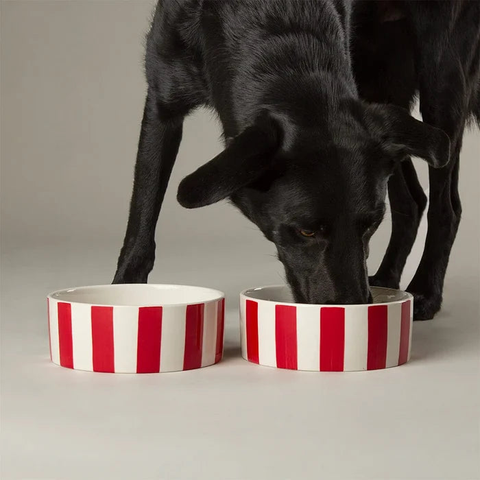 Fifth view of the Scruffs Amalfi hand-painted red stripe stoneware bowl at 15cm
