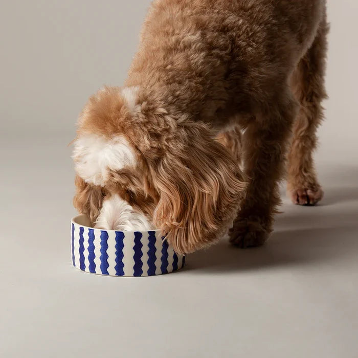Scruffs Blue Zigzag stoneware pet food bowl, 13cm across with a blue zigzag pattern
