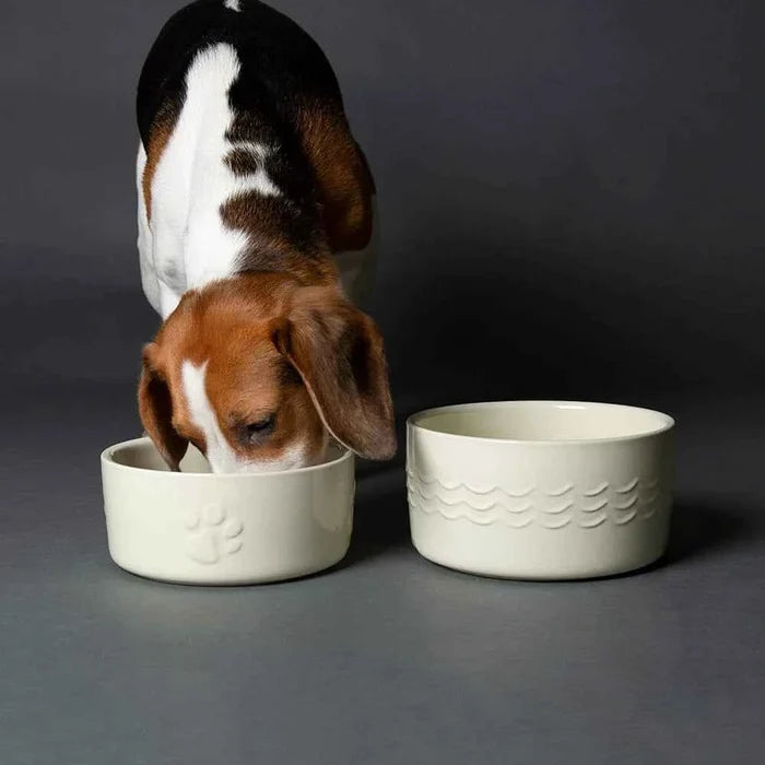 Second view of the Scruffs Icon cream stoneware food and water bowl pair at 19cm