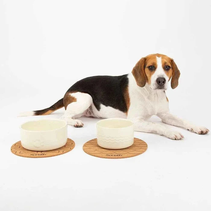 Fourth view of the Scruffs Icon two piece stoneware pet bowl set in cream