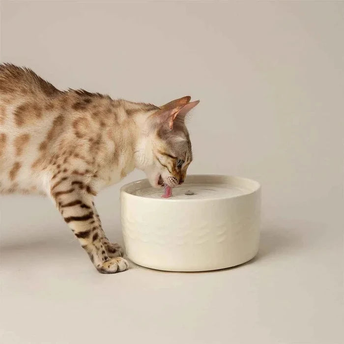 Scruffs Icon cream cat fountain shown with the lid lifted to reveal the pump and reservoir