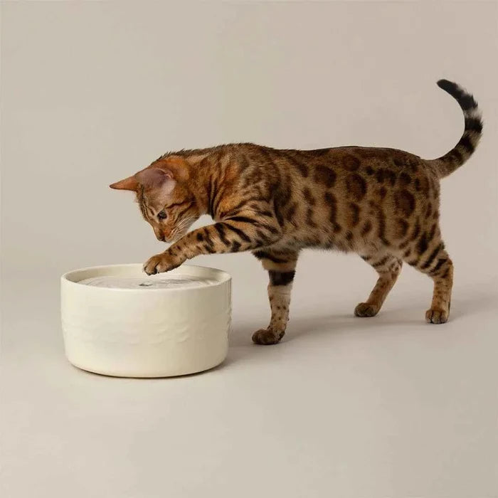 Overhead view of the Scruffs Icon cream cat water fountain