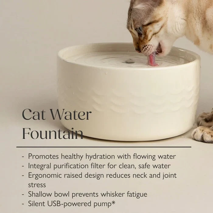 Scruffs bowls infographic illustrating how a circulating fountain encourages cats to drink