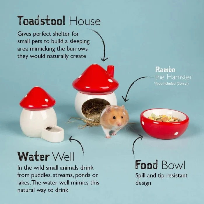 Alternative view of the Scruffs toadstool ceramic set for hamsters and gerbils