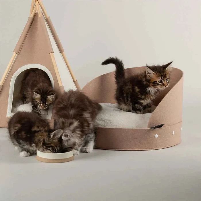 Alternative view of the Scruffs Stockholm round felt cat bed