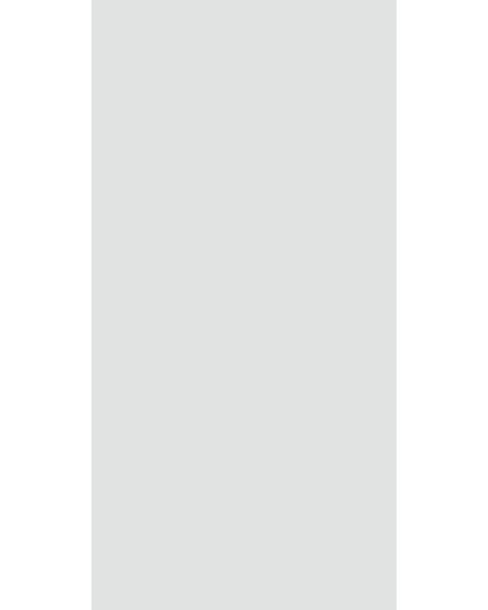 Silver Grey - GL 106