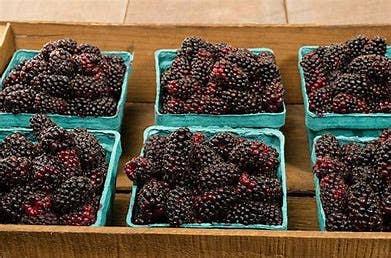 Simply Marionberry Jam
