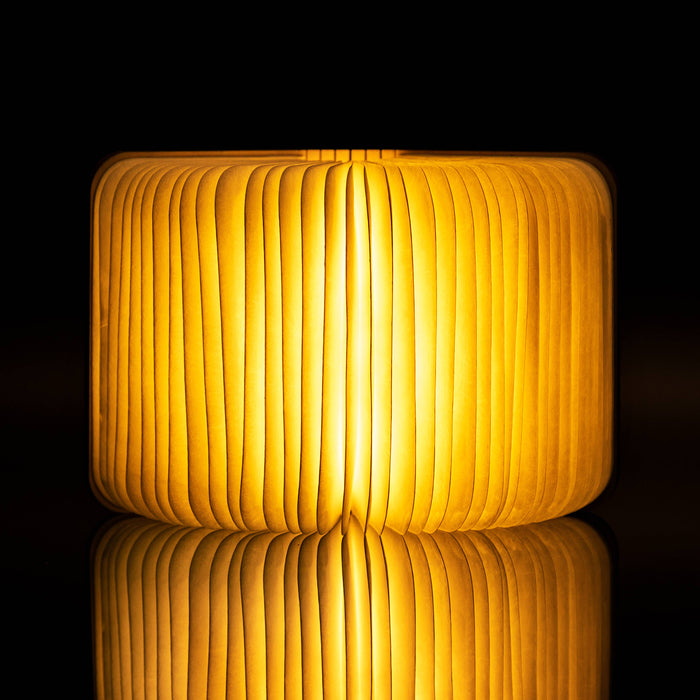 Smart Book Light: Maple / Large