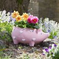 Smart Garden Piggy planter moulded as a seated pig with a hollowed back for planting, shown empty