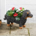 Smart Garden Sausage Dog planter modelled as a dachshund with a planting trough along its back