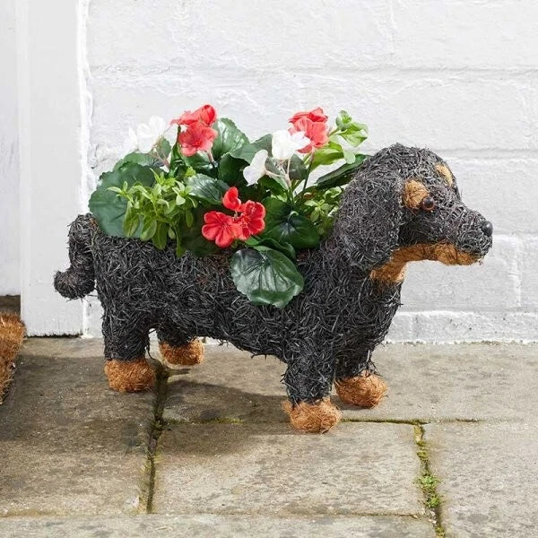 Smart Garden Sausage Dog planter modelled as a dachshund with a planting trough along its back