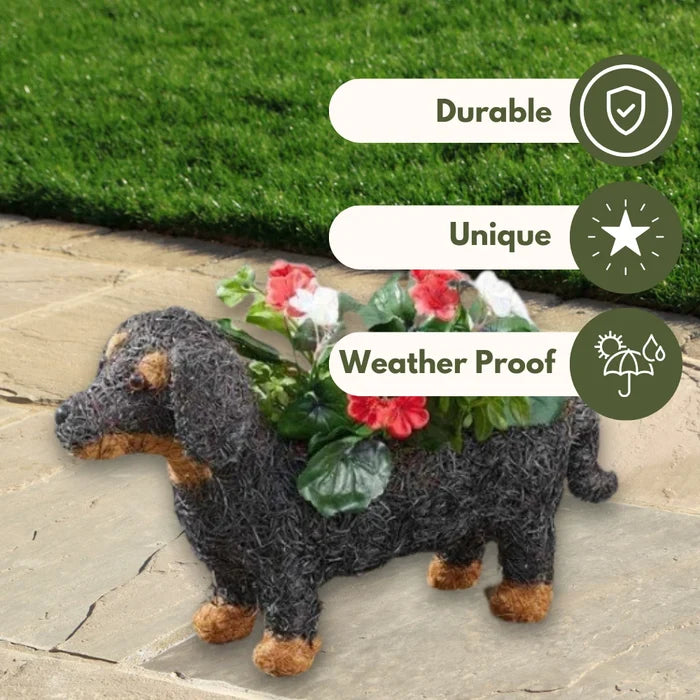 Further view of the Smart Garden dachshund planter from a different angle