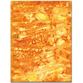 Solar Flare' Wrapped Canvas Wall Art