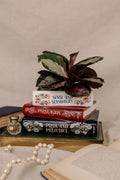 Stacked Books Planter Jane Austen