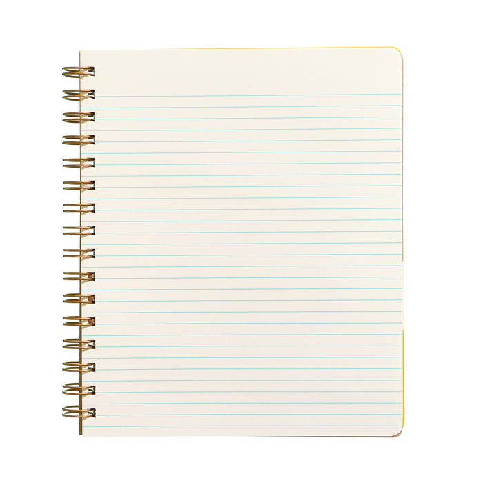 Standard Notebook - Blue Hearts