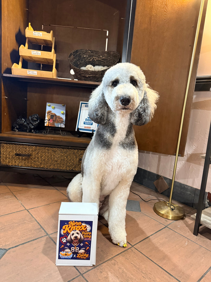 THE NORA KNOX BOX ❤️💙 - Nickel City Pet Pantry
