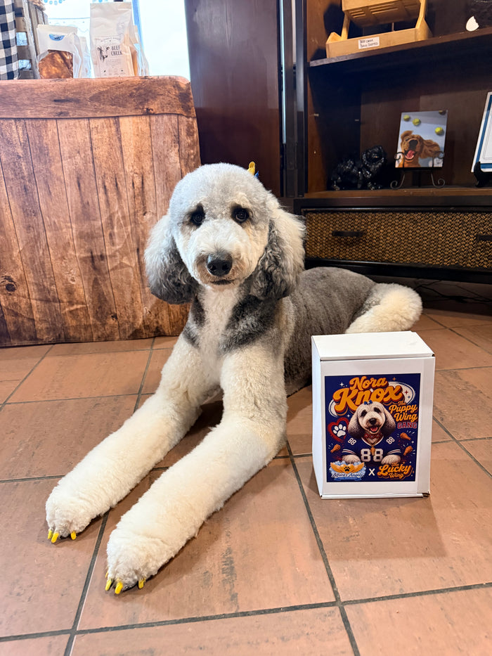 THE NORA KNOX BOX ❤️💙 - Nickel City Pet Pantry