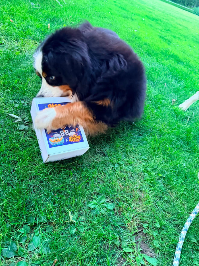 THE NORA KNOX BOX ❤️💙 - Nickel City Pet Pantry