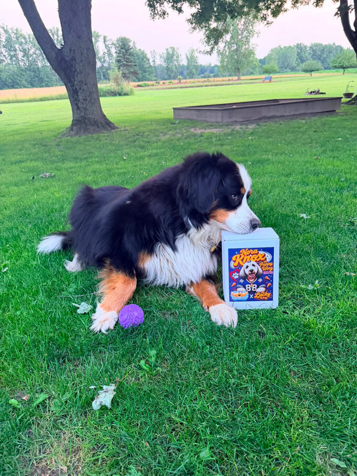 THE NORA KNOX BOX ❤️💙 - Nickel City Pet Pantry