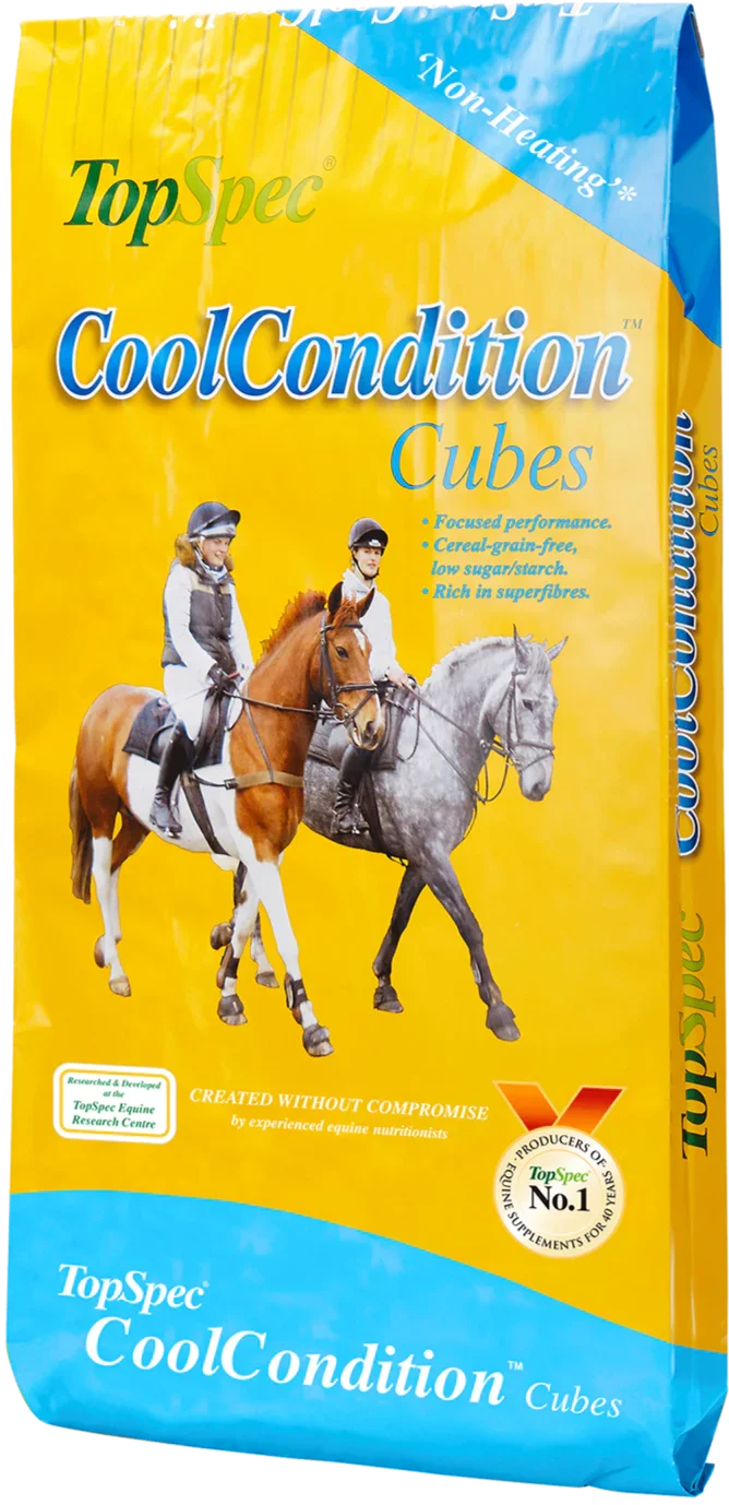 TopSpec Cool Conditioning Cubes 20kg