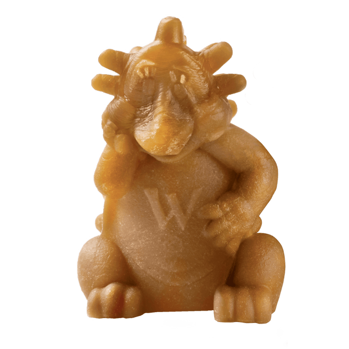 Whimzees Hedgehog dental dog chew, a spined hedgehog-shaped plant-based chew