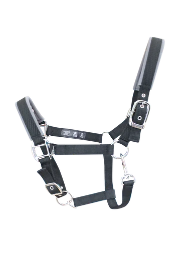 Woof Wear Contour head collar in black, size large, neoprene padded nose and poll