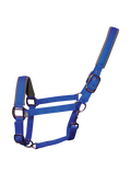 Woof Wear Contour head collar in electric blue, size small pony, neoprene padded noseband