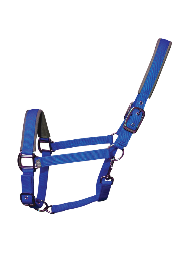 Woof Wear Contour head collar in electric blue, size small pony, neoprene padded noseband
