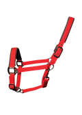 Woof Wear Contour head collar in red, size small, padded webbing with double-buckle headpiece