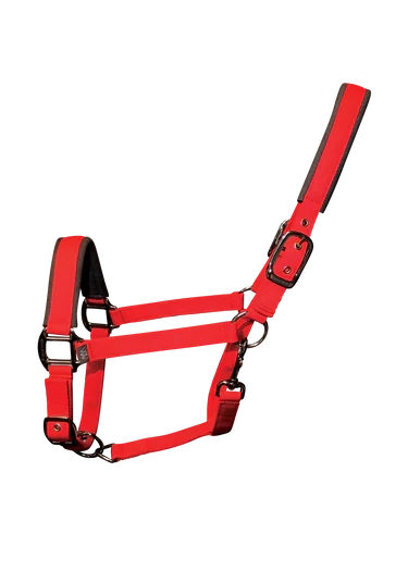 Woof Wear Contour head collar in red, size small, padded webbing with double-buckle headpiece